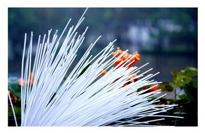 suncitygroup太阳集团(中国)-官方网站