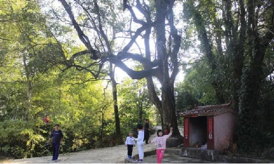 suncitygroup太阳集团(中国)-官方网站