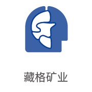 suncitygroup太阳集团相助同伴：藏格矿业